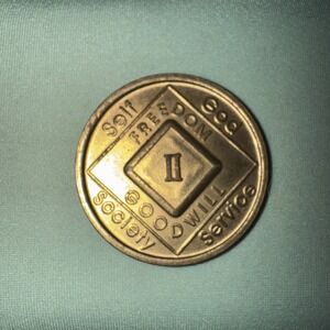2 Year Narcotics Anonymous NA Medallion Coin 1991 WSO Set Token Chip Clean